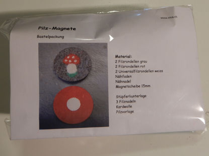 Bild von Bastelpackung Pilz-Magnete