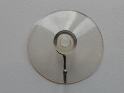 Bild von Saugnapf 60 mm 50 Stück an Lager