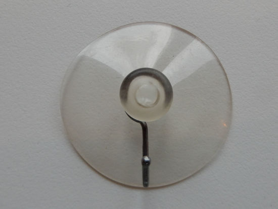 Bild von Saugnapf 60 mm 50 Stück an Lager